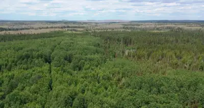 43.23 Acre Parcel located just south of Timmins Bordering Thousands of Acres of Crown Land! This pro...