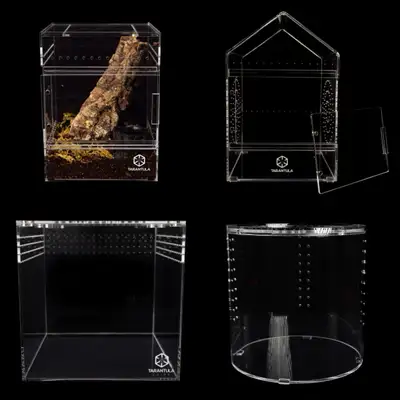 TARANTULA CRIBS / ACRYLIC, View more