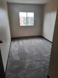 Private Room for rent in bedroom apartment 