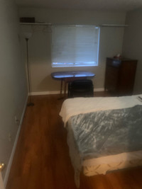 Room Available 