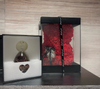 GIFT Rose Bear and Forever Preserved Real Rose