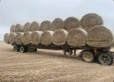 2nd cut grass hay , View more