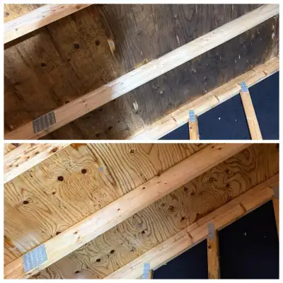 mold removal, View more