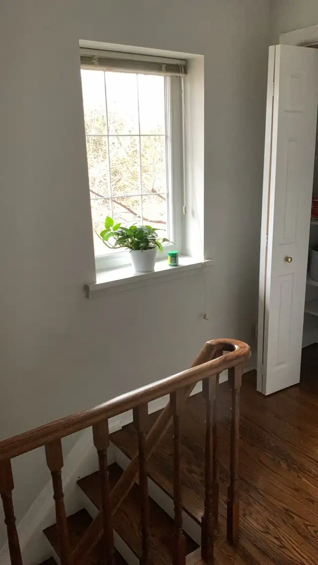 Scarborough Upper 2nd floor beautiful room for rent in Room Rentals & Roommates in City of Toronto - Image 5