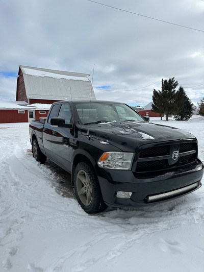 2010 dodge 1500 sport