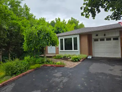 House for rent