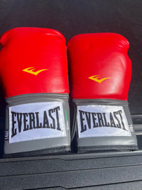 Everlast boxing gloves - 14oz