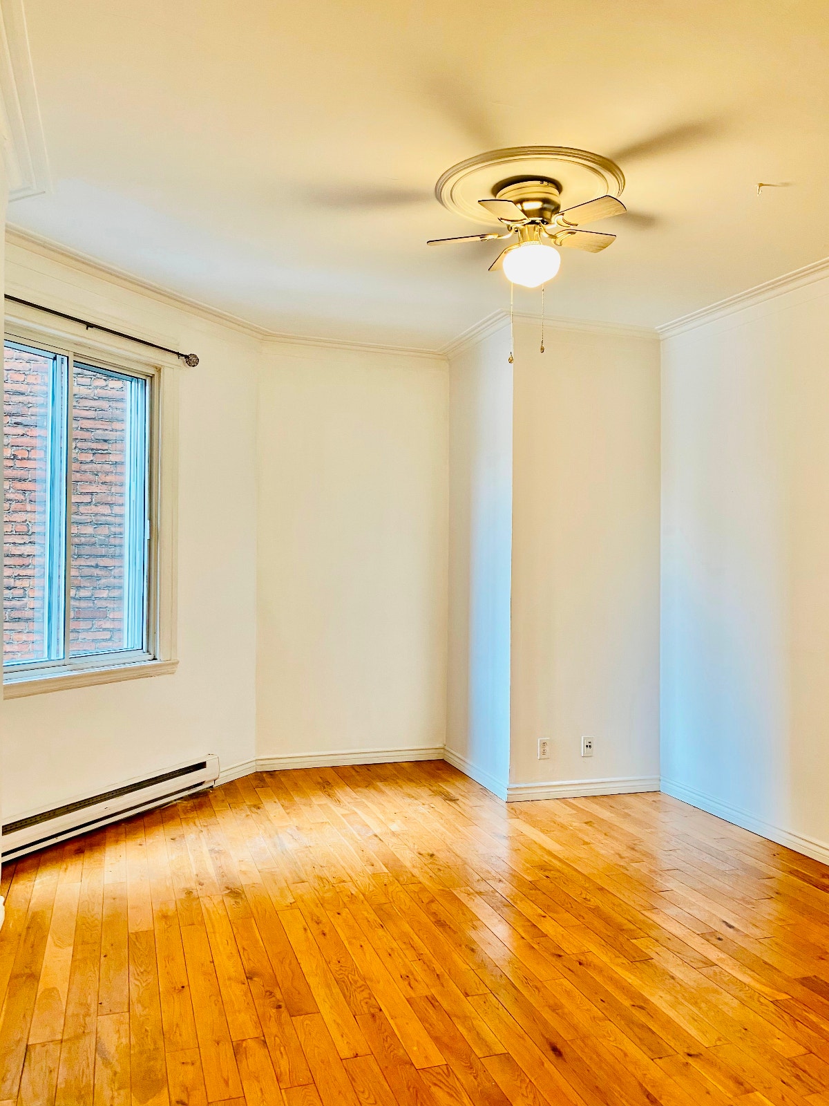 Renovated 5½ Apartment for Rent in NDG — photo 2