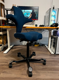 HAG Capisco Ergonomic Chair