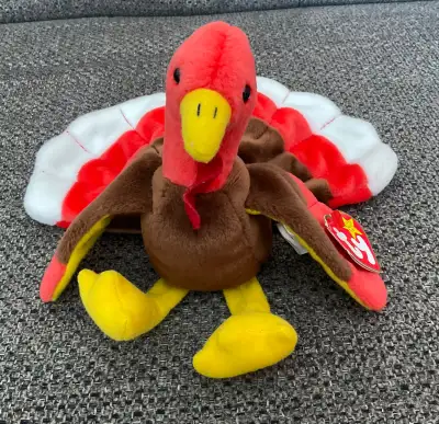 Gobbles has tag attached. SF house.