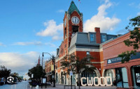 Collingwood Downtown Professional Rental Unit