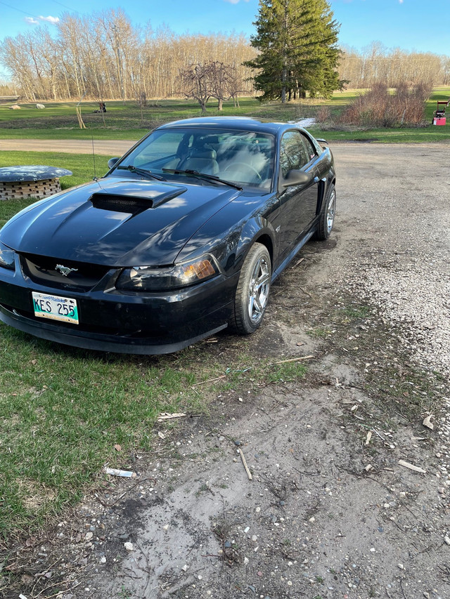 2001 ford mustang Cars & Trucks Portage la Prairie Kijiji