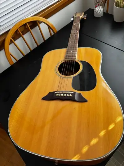 Acoustic Guitar, View more