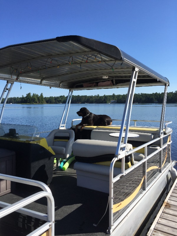 Pontoon Boat Powerboats & Motorboats Sudbury Kijiji
