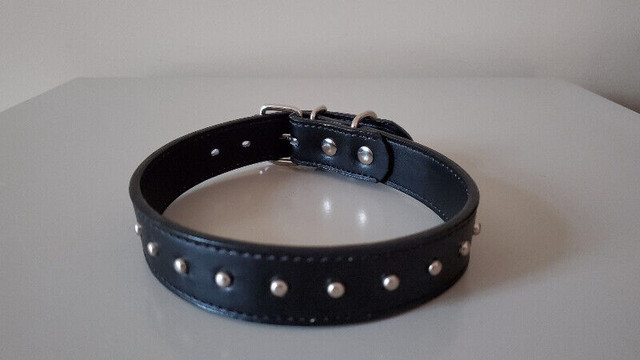 Collier pour chien cuire noir Black leather dog collar dans Accessoires  à Laval/Rive Nord - Image 3