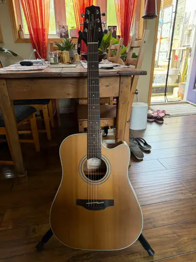 Takamine  GD20CE NS , View more