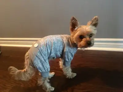 Puppy reindeer onesie, View more