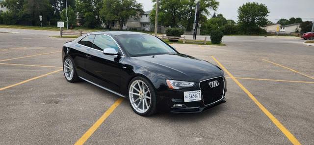 2013 Audi S5 in Cars & Trucks in Winnipeg - Image 3