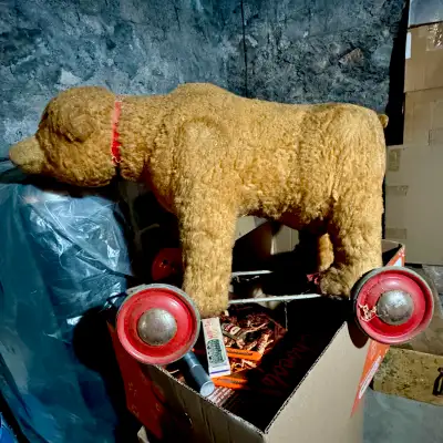 Ours en peluche vintage sur roulettes avec son (Années 1940-1950, View more