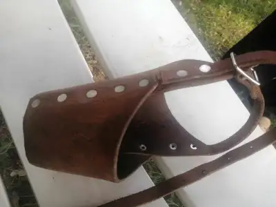 Muselière pour chien en cuir 20$ en bonne condition, View more
