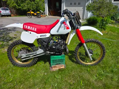 Three vintage motocross dirtbikes for sale. 1982 Yamaha YZ250 restored Professionally rebuilt fresh...