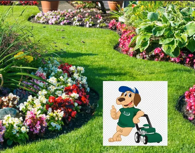 J Dawggs Lawncutting Services62863247161345124