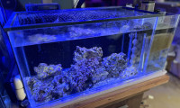 Aquarium 15 gallons