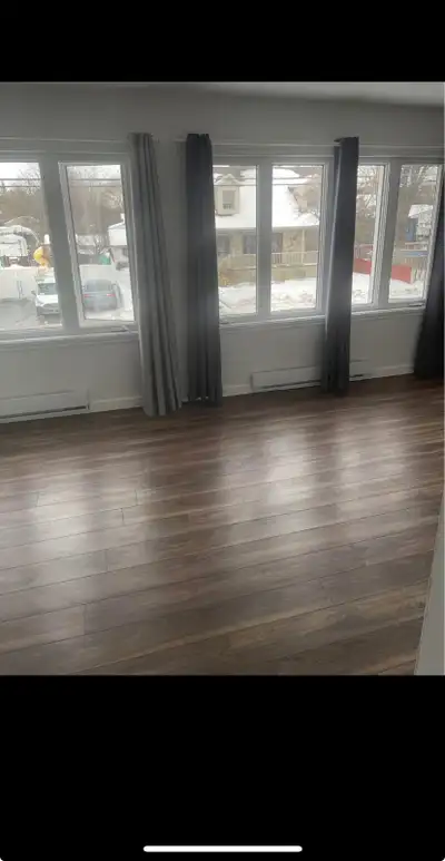 4et demi semi meublé à louer à 1600$