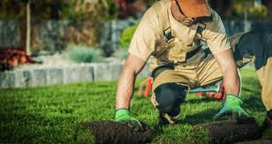 Landscaping and grass cutting in Lawn, Tree Maintenance & Eavestrough in Peterborough - Image 2