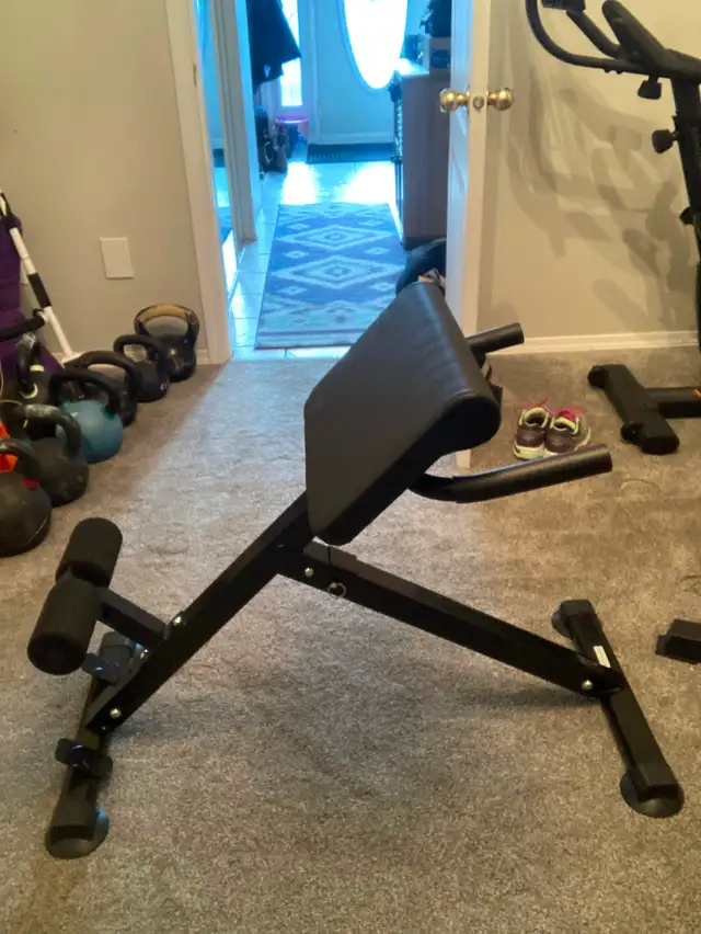 Roman Chair/ Back Extension Bench in Exercise Equipment in Penticton - Image 4