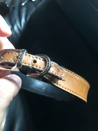 16"  Hartman & Rose genuine Leather Dog Collar in Tan colour