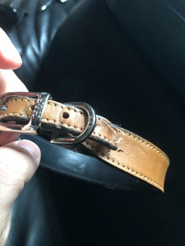 16"  Hartman & Rose genuine Leather Dog Collar in Tan colour in Accessories in Kingston