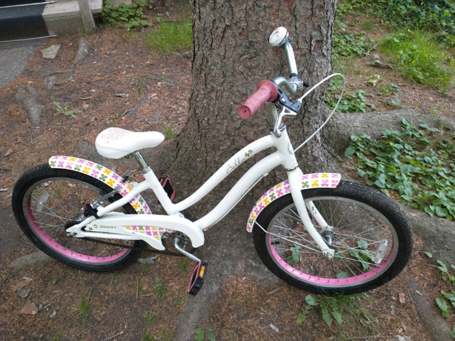giant bikes for girls