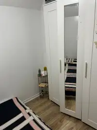 Sharing room available in basement 
