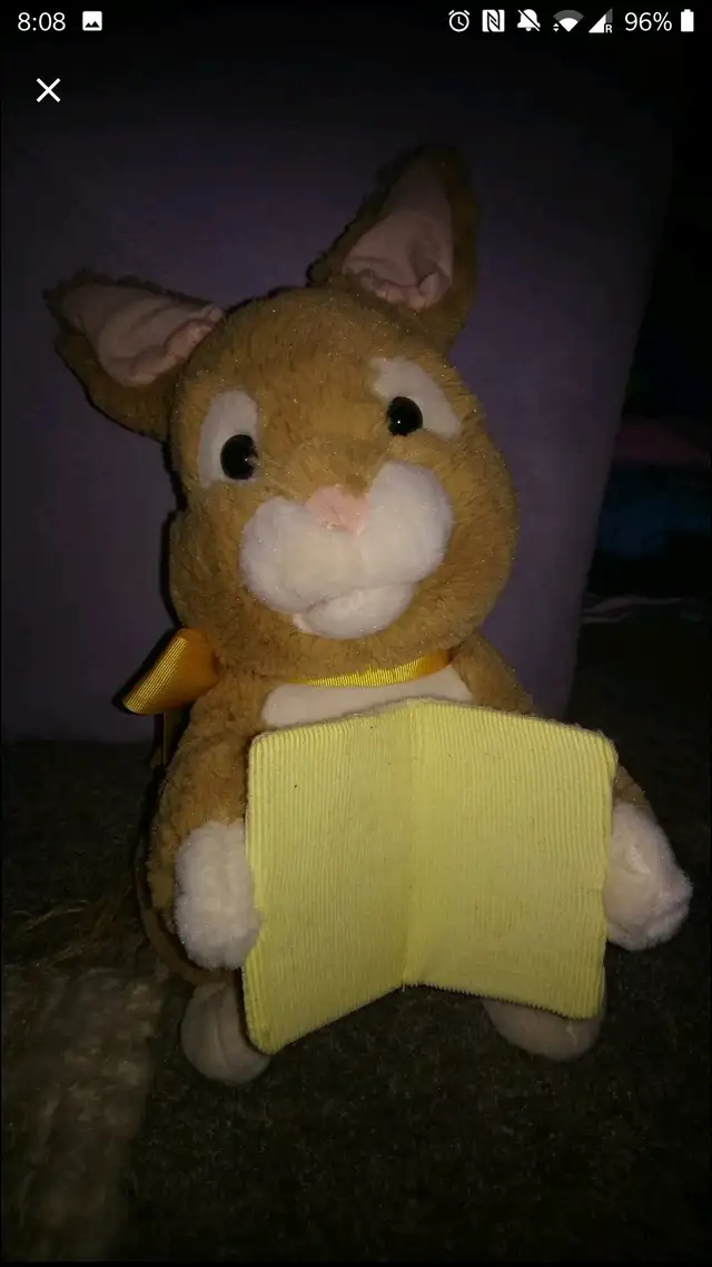 Peter Rabbit Animated Toy & Book