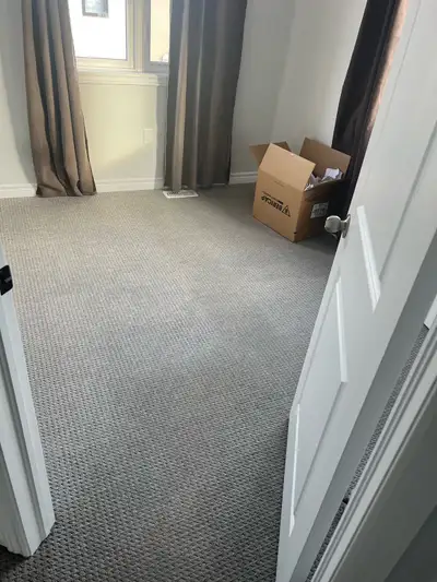 Shampoo Steam Carpet  Area Rooms-Stairs $40, View more