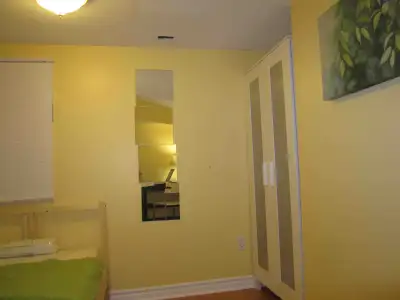 Furnished basement room in the house 5 minutes walk from Dundas West subway station. Available start...