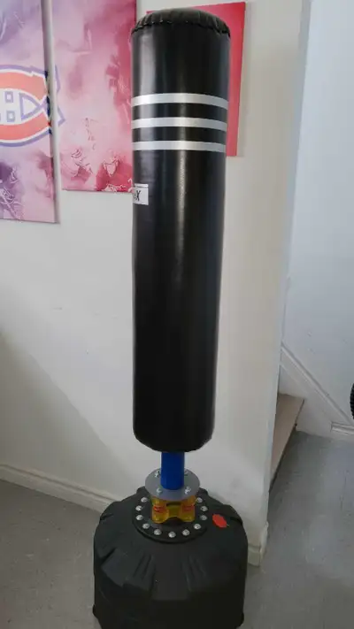New punching bag. Only used for couple times. It comes with gloves.