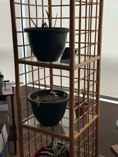 Selling - Tan Wicker Stand with 4 Glass Shelves, View more