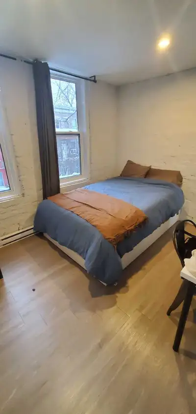 Colocation métro Papineau - 729$ tout inclus Je quitte ma chambre dans une coloc de 8 personnes situ...