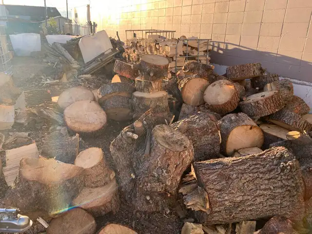 Fire wood and smoking wood in BBQs & Outdoor Cooking in Edmonton - Image 5