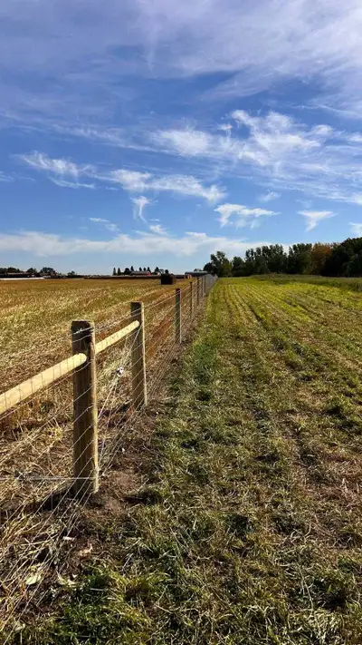 Custom Fence , View more