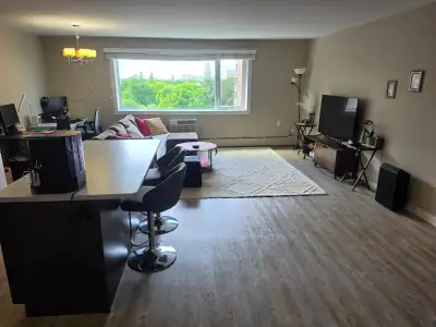 Apartment located in the beautiful Osborne/Roslyn Area. Very Bright and Spacious with a nice view. 3...