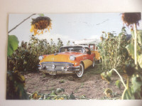 1956 Buick Photo Print