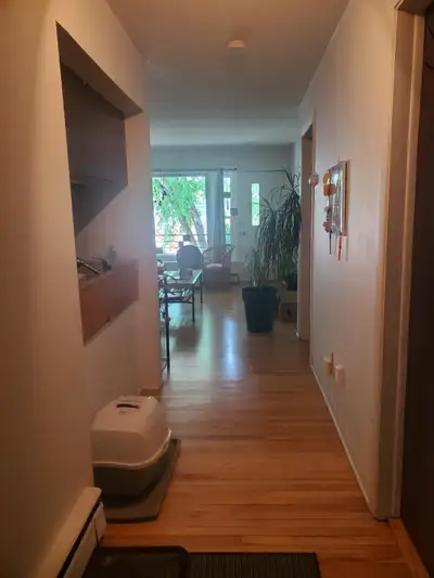 Appartement 3-1/2, 1er Août