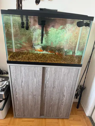 30 Gallon fish Aquarium Comes with everything and more that you may need… Comes with Gravel, 2 heate...