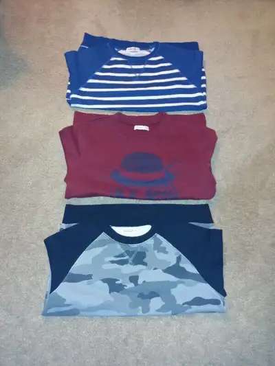 Nevada boys sweatshirts, size 10-12, size 10-12 pet / smoke free home
