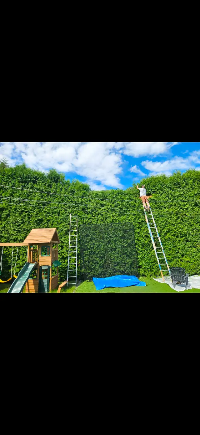 Hedge Trimming - Tree and Shrub Pruning
