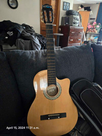 Cheap acoustic guitar with case