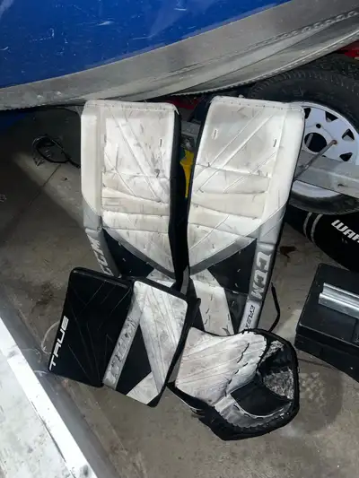 goalie pads, View more